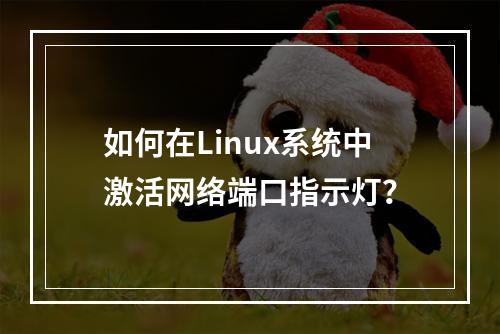 如何在Linux系统中激活网络端口指示灯?