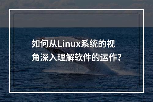 如何从Linux系统的视角深入理解软件的运作?