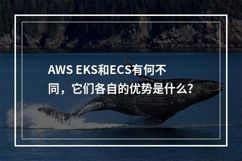 AWS EKS和ECS有何不同,它们各自的优势是什么?