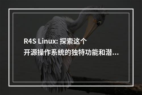 R4S Linux: 探索这个开源操作系统的独特功能和潜在用途