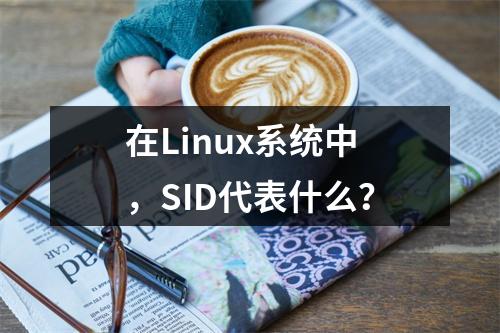 在Linux系统中,SID代表什么?