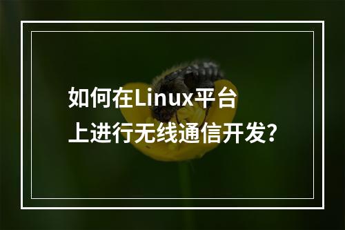 如何在Linux平台上进行无线通信开发?