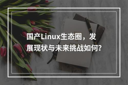 国产Linux生态圈,发展现状与未来挑战如何?