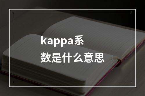 kappa系数是什么意思