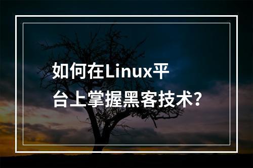 如何在Linux平台上掌握黑客技术?