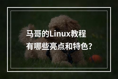 马哥的Linux教程有哪些亮点和特色?