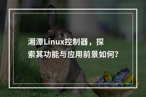 湘潭Linux控制器,探索其功能与应用前景如何?