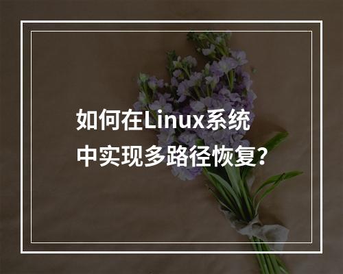 如何在Linux系统中实现多路径恢复?