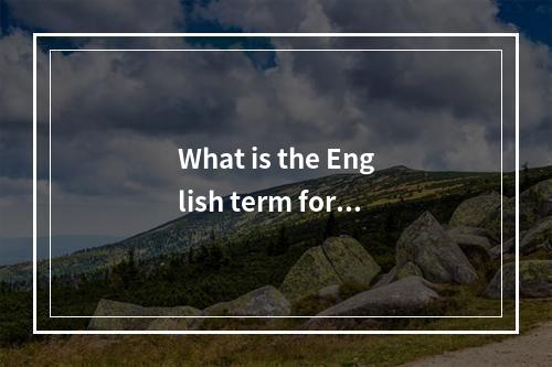 What is the English term for a Linux driver?