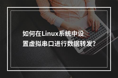 如何在Linux系统中设置虚拟串口进行数据转发?