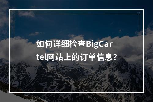 如何详细检查BigCartel网站上的订单信息?