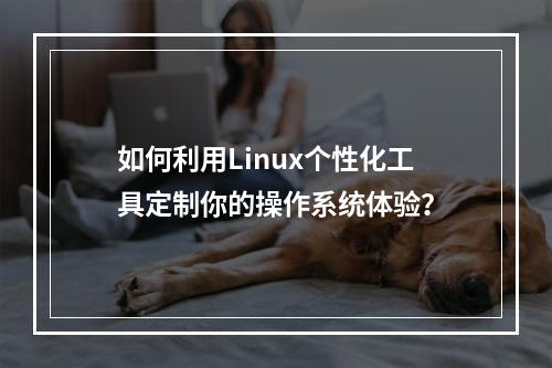 如何利用Linux个性化工具定制你的操作系统体验?