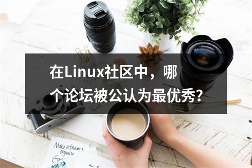在Linux社区中,哪个论坛被公认为最优秀?