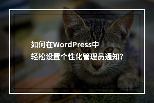 如何在WordPress中轻松设置个性化管理员通知?