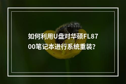 如何利用U盘对华硕FL8700笔记本进行系统重装?