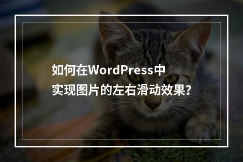 如何在WordPress中实现图片的左右滑动效果?