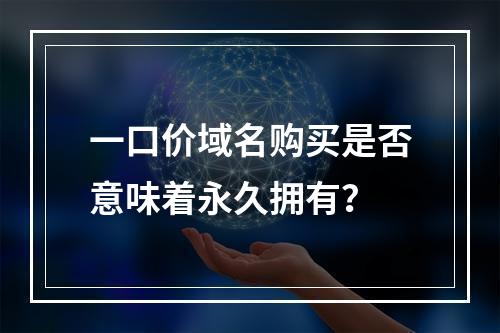 一口价域名购买是否意味着永久拥有?