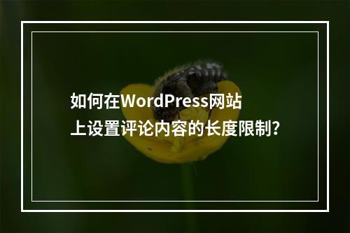 如何在WordPress网站上设置评论内容的长度限制?