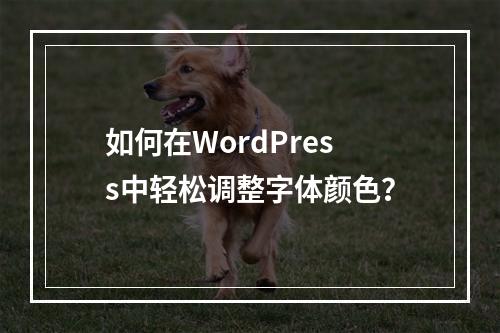 如何在WordPress中轻松调整字体颜色?