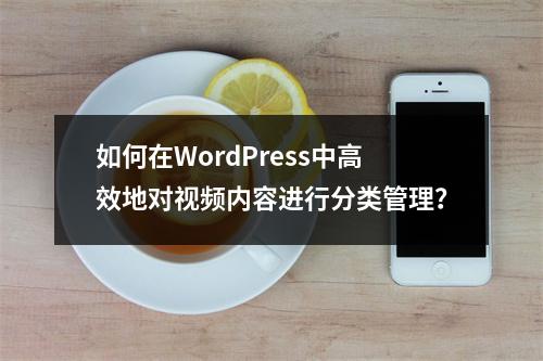 如何在WordPress中高效地对视频内容进行分类管理?
