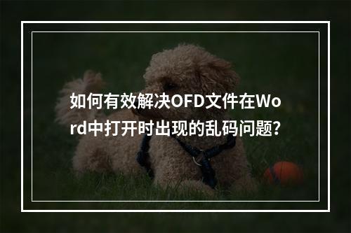 如何有效解决OFD文件在Word中打开时出现的乱码问题?