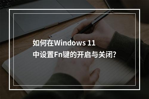 如何在Windows 11中设置Fn键的开启与关闭?
