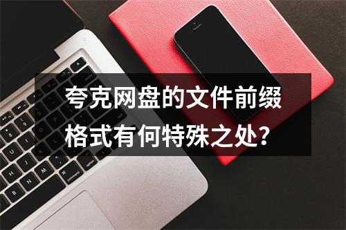 夸克网盘的文件前缀格式有何特殊之处?