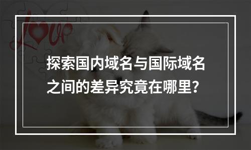 探索国内域名与国际域名之间的差异究竟在哪里?
