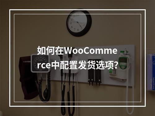 如何在WooCommerce中配置发货选项?