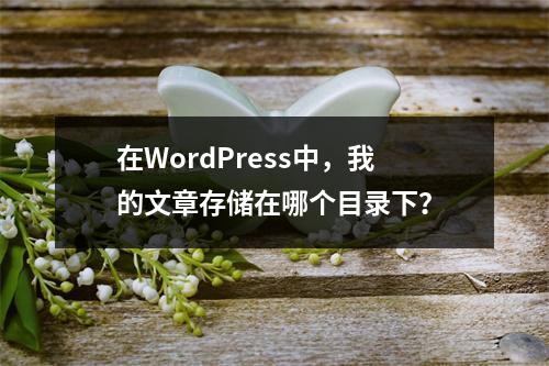 在WordPress中,我的文章存储在哪个目录下?