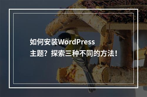 如何安装WordPress主题?探索三种不同的方法!