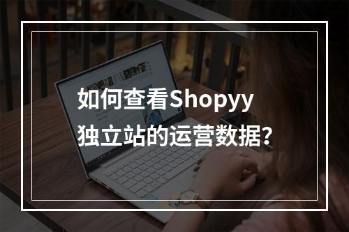 如何查看Shopyy独立站的运营数据?