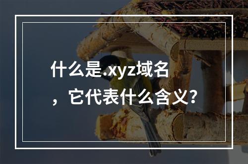 什么是.xyz域名,它代表什么含义?