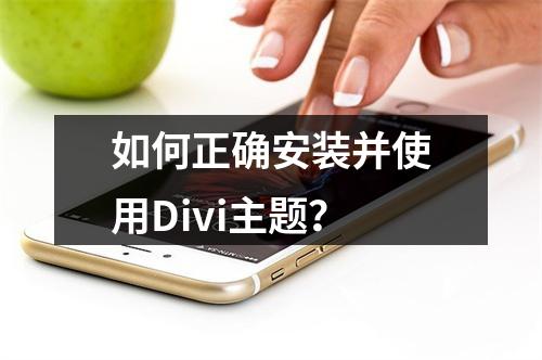 如何正确安装并使用Divi主题?