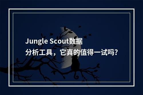 Jungle Scout数据分析工具,它真的值得一试吗?