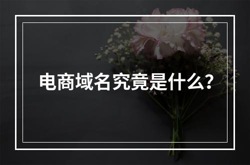 电商域名究竟是什么?