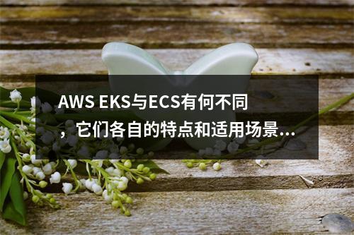 AWS EKS与ECS有何不同,它们各自的特点和适用场景是什么?