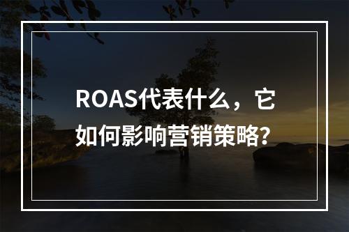 ROAS代表什么,它如何影响营销策略?