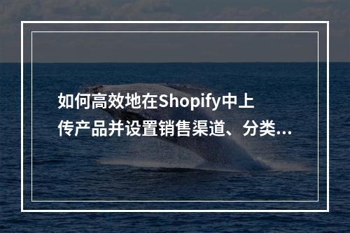 如何高效地在Shopify中上传产品并设置销售渠道、分类和标签?