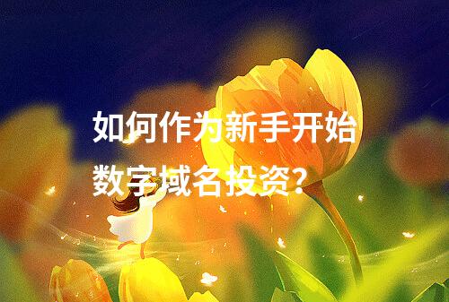 如何作为新手开始数字域名投资?