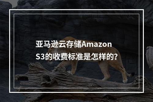 亚马逊云存储Amazon S3的收费标准是怎样的?