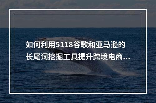 如何利用5118谷歌和亚马逊的长尾词挖掘工具提升跨境电商流量?