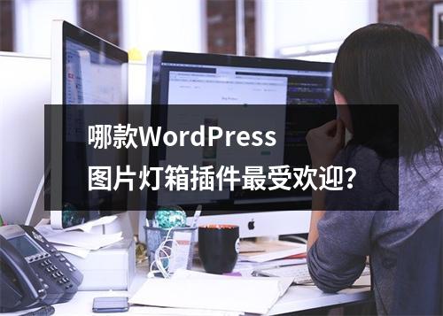 哪款WordPress图片灯箱插件最受欢迎?