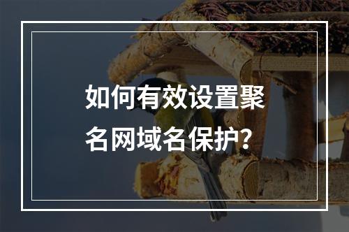 如何有效设置聚名网域名保护?