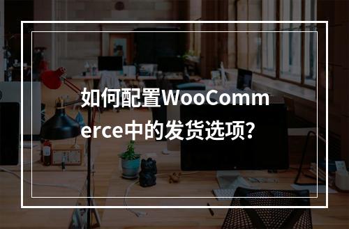 如何配置WooCommerce中的发货选项?
