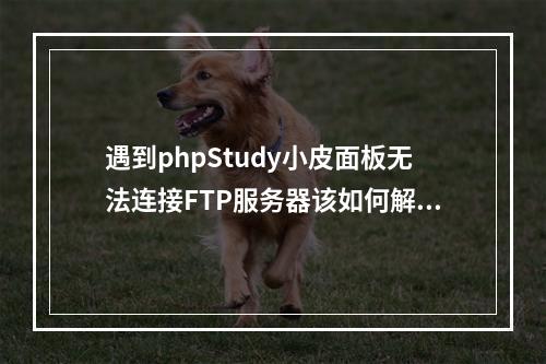 遇到phpStudy小皮面板无法连接FTP服务器该如何解决?