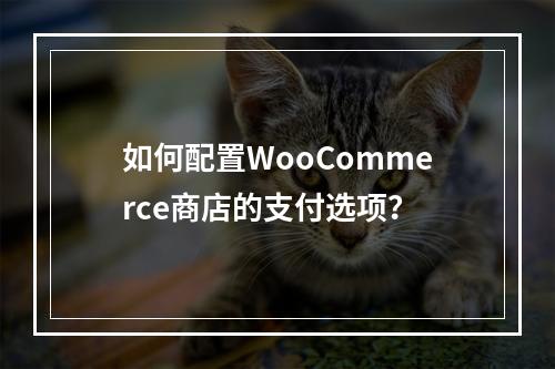 如何配置WooCommerce商店的支付选项?