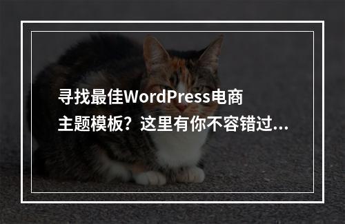 寻找最佳WordPress电商主题模板?这里有你不容错过的推荐!