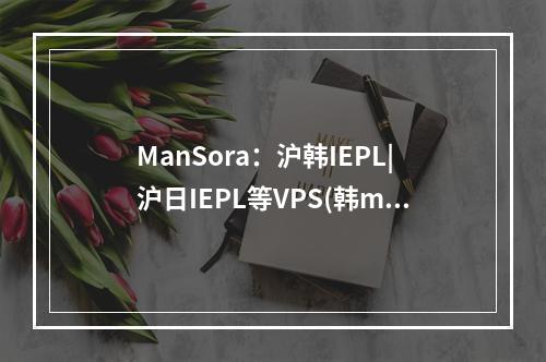 ManSora:沪韩IEPL|沪日IEPL等VPS(韩manman)(沪韩iplc)