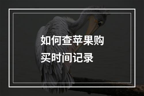 如何查苹果购买时间记录